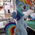 MLP My Little Pony Sex Doll Rainbow Dash