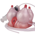 Pumpra™ — Suction Udder Masturbator [Stock]