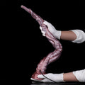 Siren™ — Tentacle Dildo Fantasy Sex Toy