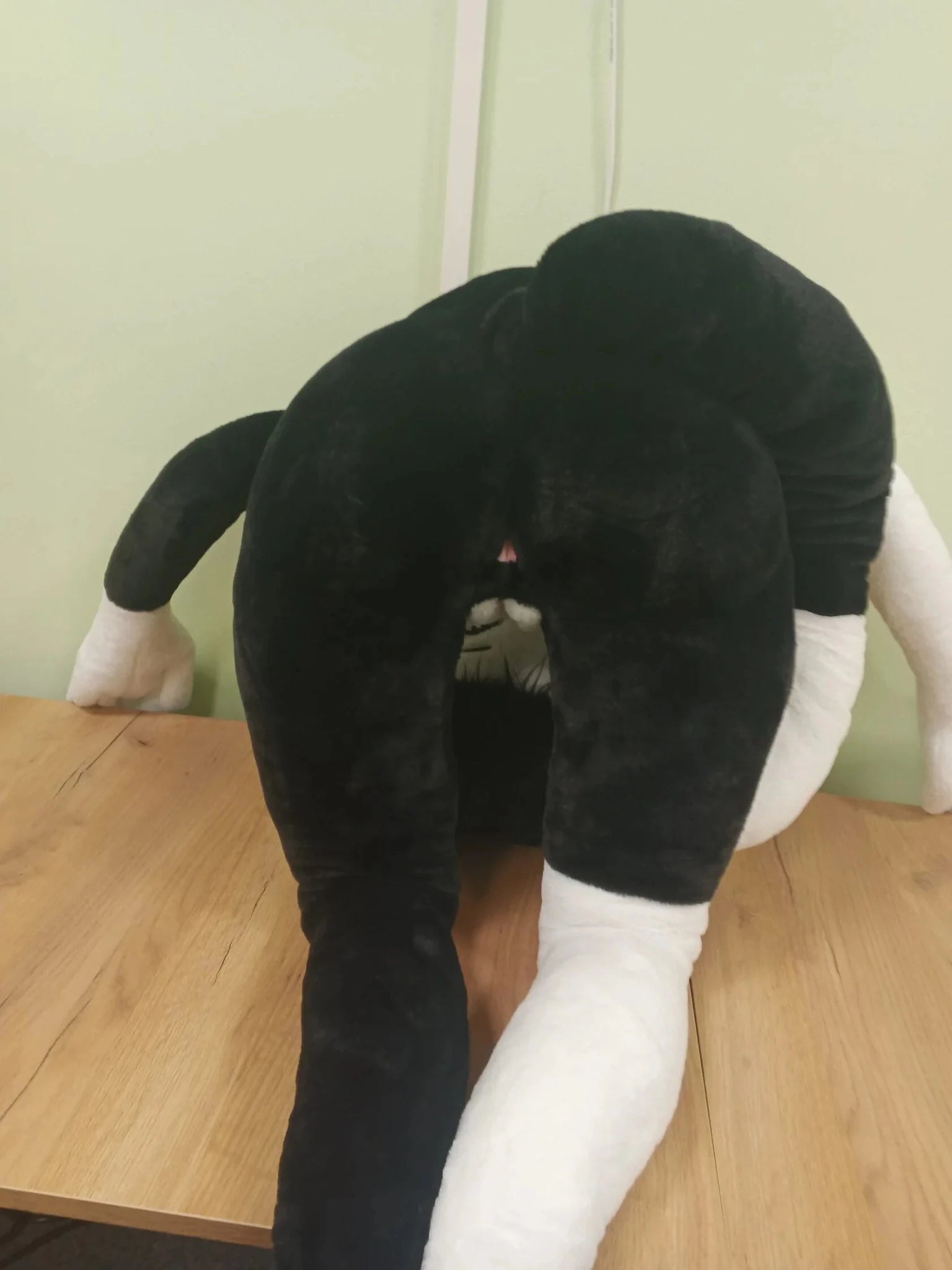White Black Cat Sex Doll Plush Oreo 160cm Sex 'n Dolls White Black Cat Sex Doll Plush Oreo 160cm Sex 'n Dolls